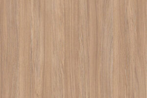 MP, Amber Oak