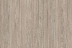 MP, Oyster urban Oak