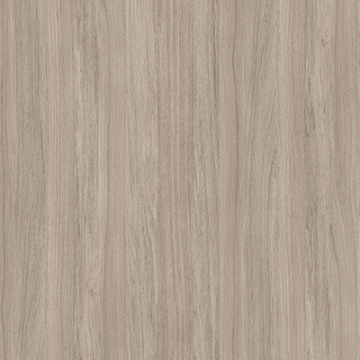 MP, Oyster urban Oak